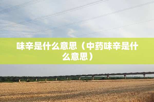 味辛是什么意思（中药味辛是什么意思）
