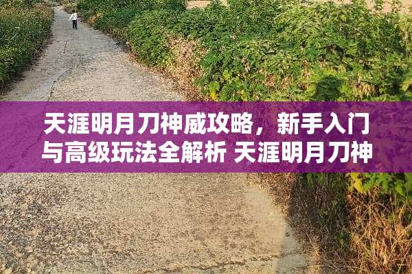 天涯明月刀神威攻略，新手入门与高级玩法全解析 天涯明月刀神威攻略