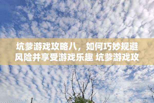 坑爹游戏攻略八，如何巧妙规避风险并享受游戏乐趣 坑爹游戏攻略八