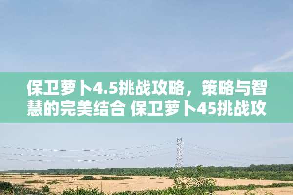保卫萝卜4.5挑战攻略，策略与智慧的完美结合 保卫萝卜45挑战攻略