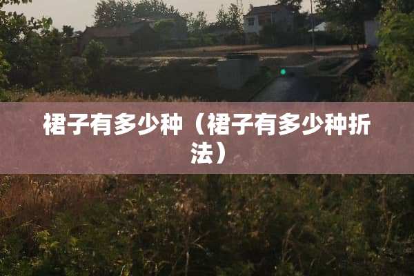 裙子有多少种（裙子有多少种折法）