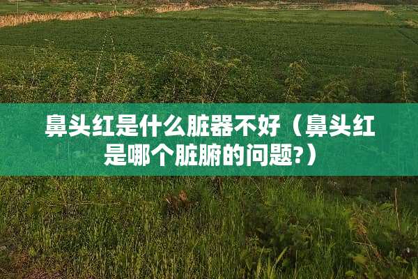鼻头红是什么脏器不好（鼻头红是哪个脏腑的问题?）