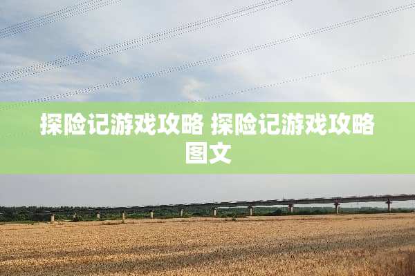 探险记游戏攻略 探险记游戏攻略图文