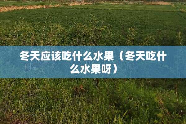 冬天应该吃什么水果（冬天吃什么水果呀）
