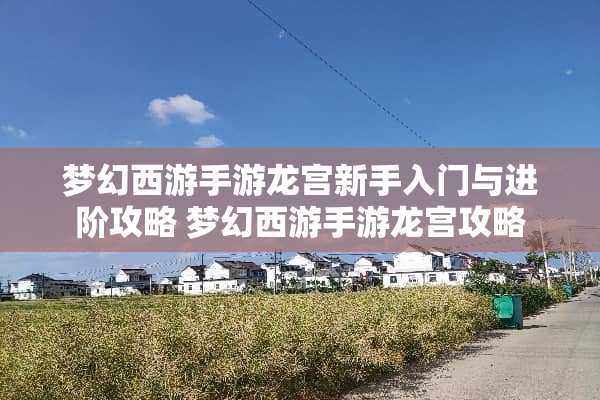 梦幻西游手游龙宫新手入门与进阶攻略 梦幻西游手游龙宫攻略