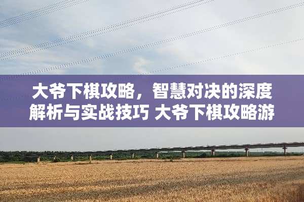 大爷下棋攻略，智慧对决的深度解析与实战技巧 大爷下棋攻略游戏