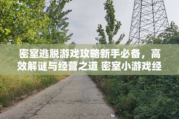 密室逃脱游戏攻略新手必备，高效解谜与经营之道 密室小游戏经营攻略