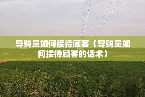 导购员如何接待顾客（导购员如何接待顾客的话术）