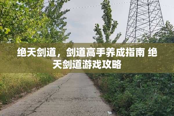 绝天剑道，剑道高手养成指南 绝天剑道游戏攻略