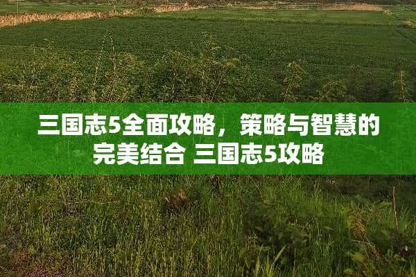 三国志5全面攻略，策略与智慧的完美结合 三国志5攻略