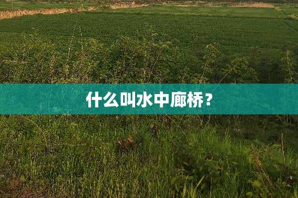 什么叫水中廊桥？
