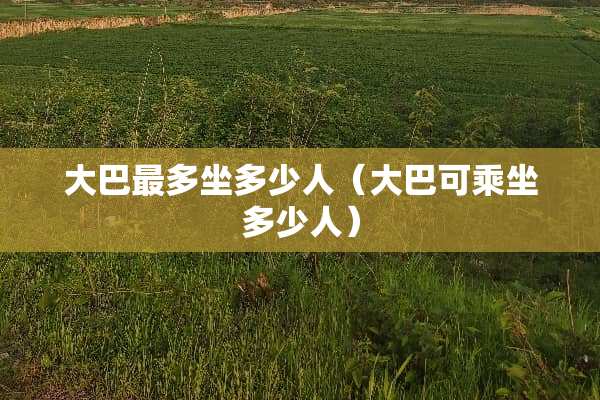 大巴最多坐多少人（大巴可乘坐多少人）