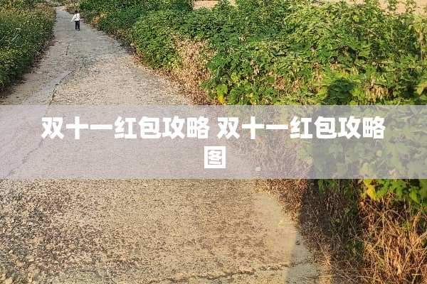 双十一红包攻略 双十一红包攻略图