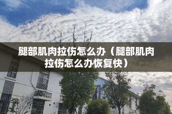 腿部肌肉拉伤怎么办（腿部肌肉拉伤怎么办恢复快）