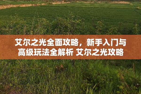 艾尔之光全面攻略，新手入门与高级玩法全解析 艾尔之光攻略