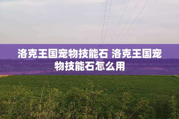 洛克王国宠物技能石 洛克王国宠物技能石怎么用