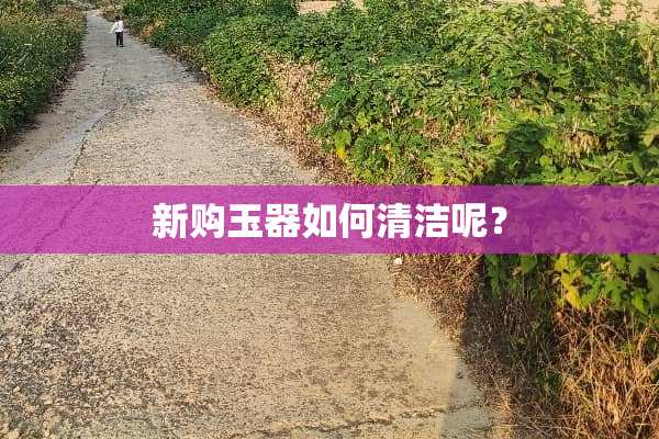 新购玉器如何清洁呢？
