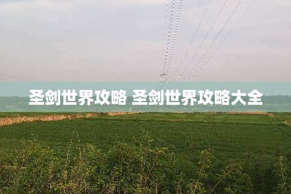 圣剑世界攻略 圣剑世界攻略大全