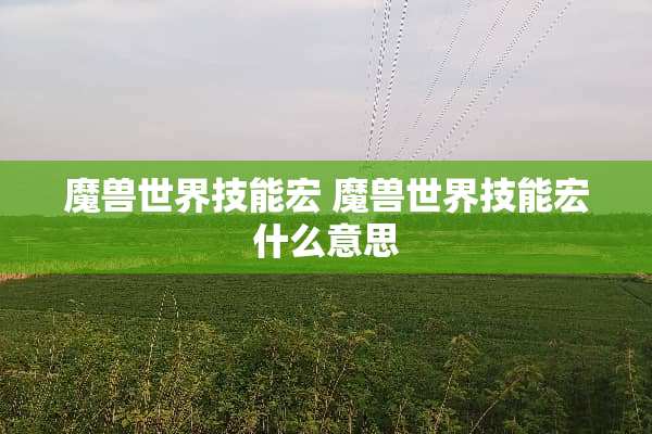 魔兽世界技能宏 魔兽世界技能宏什么意思