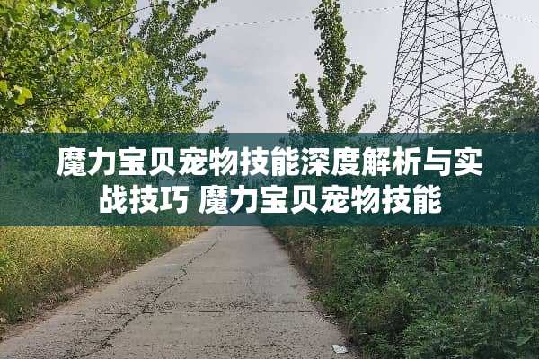 魔力宝贝宠物技能深度解析与实战技巧 魔力宝贝宠物技能