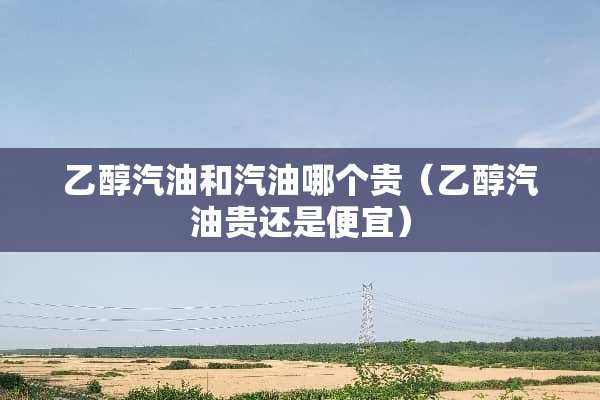 乙醇汽油和汽油哪个贵（乙醇汽油贵还是便宜）