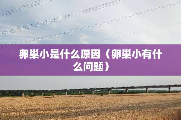 卵巢小是什么原因（卵巢小有什么问题）