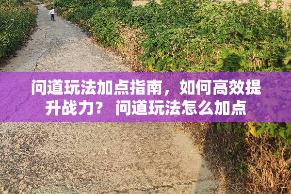 问道玩法加点指南，如何高效提升战力？ 问道玩法怎么加点