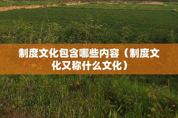 制度文化包含哪些内容（制度文化又称什么文化）