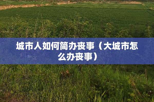 城市人如何简办丧事（大城市怎么办丧事）