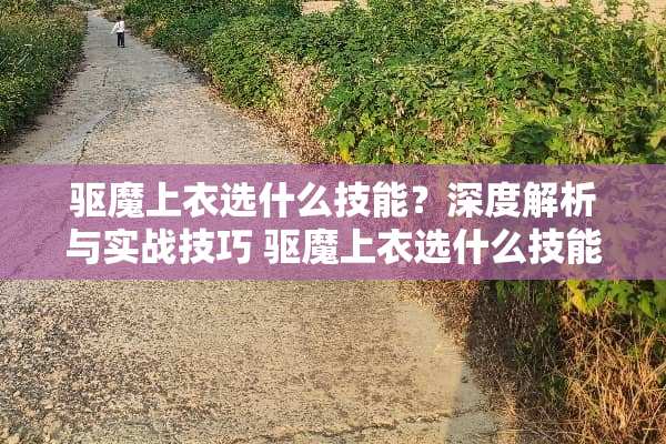 驱魔上衣选什么技能？深度解析与实战技巧 驱魔上衣选什么技能