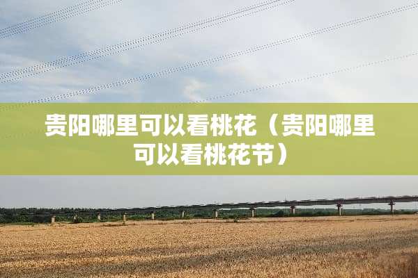 贵阳哪里可以看桃花（贵阳哪里可以看桃花节）