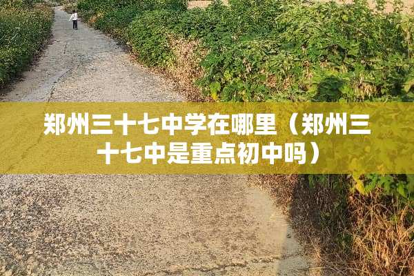 郑州三十七中学在哪里（郑州三十七中是重点初中吗）