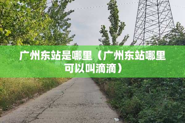 广州东站是哪里（广州东站哪里可以叫滴滴）