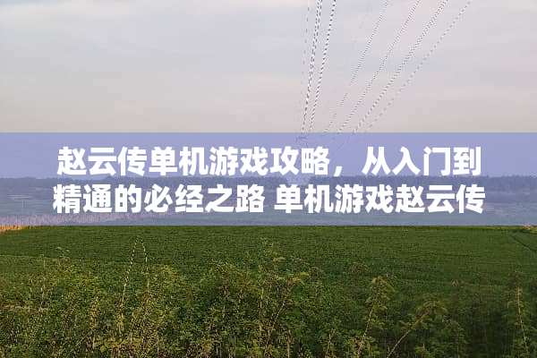 赵云传单机游戏攻略，从入门到精通的必经之路 单机游戏赵云传攻略