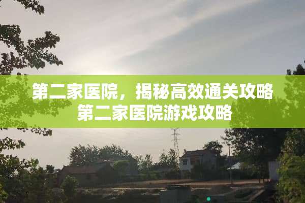 第二家医院，揭秘高效通关攻略 第二家医院游戏攻略