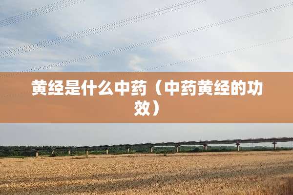 黄经是什么中药（中药黄经的功效）