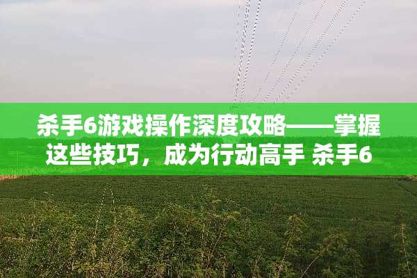 **6游戏操作深度攻略——掌握这些技巧，成为行动高手**6游戏操作攻略一