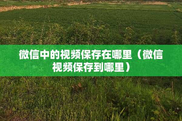 微信中的视频保存在哪里（微信视频保存到哪里）