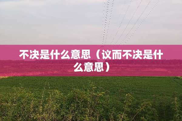 不决是什么意思（议而不决是什么意思）