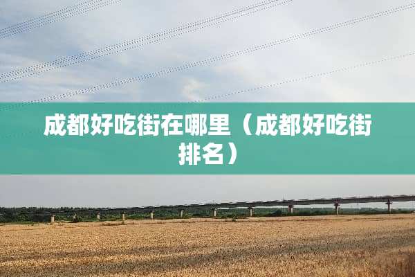 成都好吃街在哪里（成都好吃街排名）