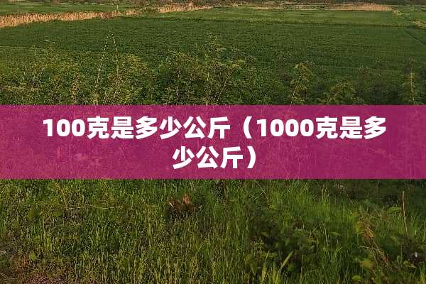 100克是多少公斤（1000克是多少公斤）
