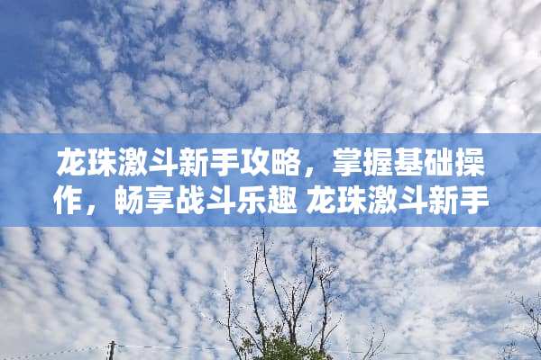 龙珠激斗新手攻略，掌握基础操作，畅享战斗乐趣 龙珠激斗新手攻略