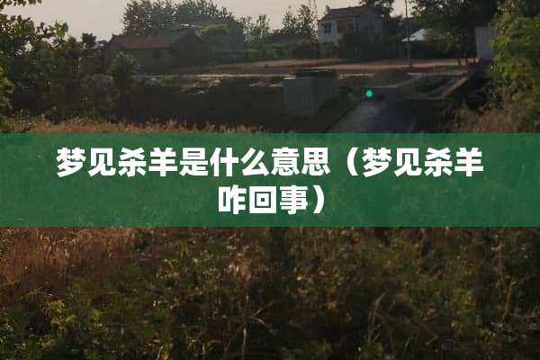 梦见杀羊是什么意思（梦见杀羊咋回事）