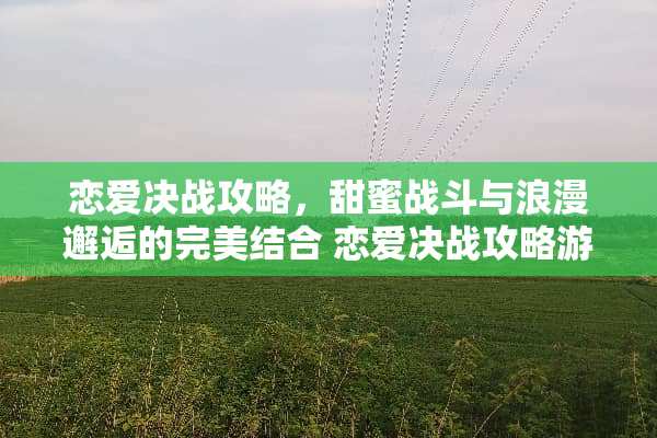 恋爱决战攻略，甜蜜战斗与浪漫邂逅的完美结合 恋爱决战攻略游戏