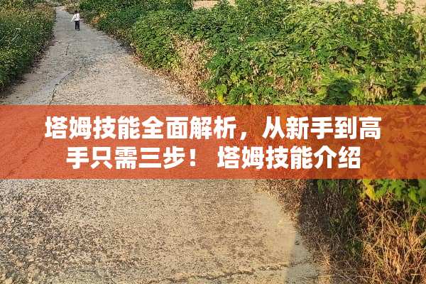 塔姆技能全面解析，从新手到高手只需三步！ 塔姆技能介绍