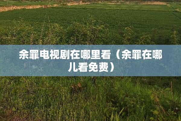 余罪电视剧在哪里看（余罪在哪儿看免费）