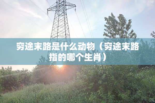 穷途末路是什么动物（穷途末路指的哪个生肖）