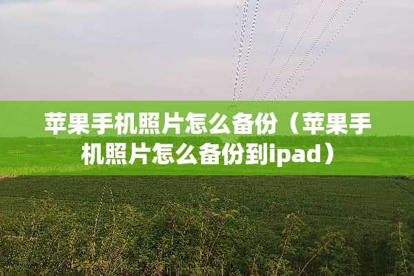 苹果手机照片怎么备份（苹果手机照片怎么备份到ipad）