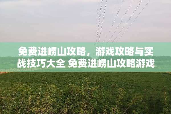 免费进崂山攻略，游戏攻略与实战技巧大全 免费进崂山攻略游戏