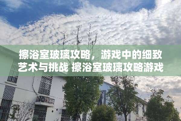 擦浴室玻璃攻略，游戏中的细致艺术与挑战 擦浴室玻璃攻略游戏